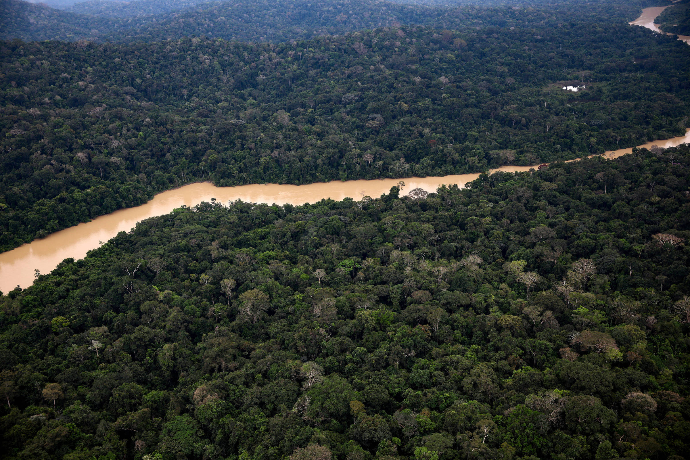 Seca e calor extremos do último El Niño antecipam ‘novo normal’ nas florestas tropicais