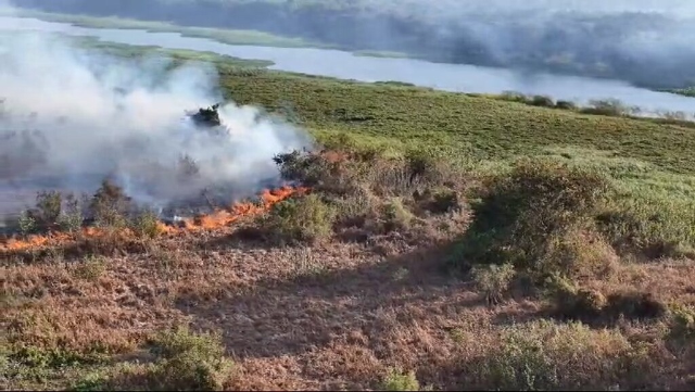 Área queimada no Pantanal cresce 42% e passa de 124 mil hectares