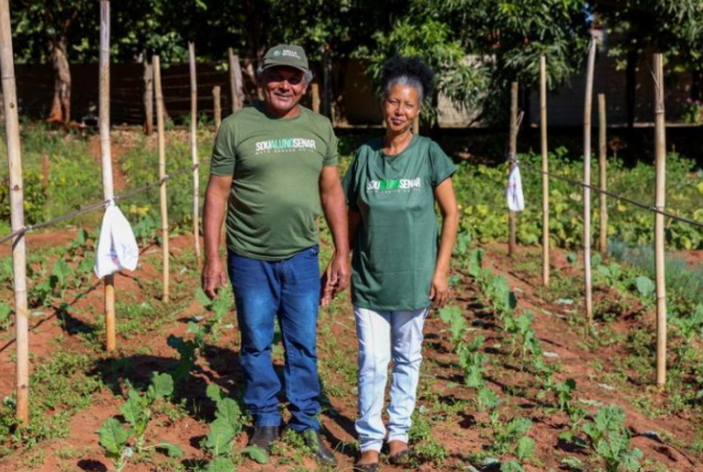 Casal abandona vendas a prazo e reorganiza produção de hortaliças em Cassilândia