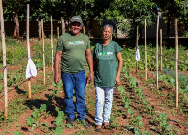 Casal abandona vendas a prazo e reorganiza produção de hortaliças em Cassilândia
