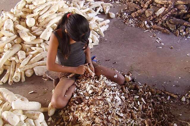 IBGE aponta que 47,9% das meninas de 5 a 17 anos realizam tarefas domésticas no Brasil
