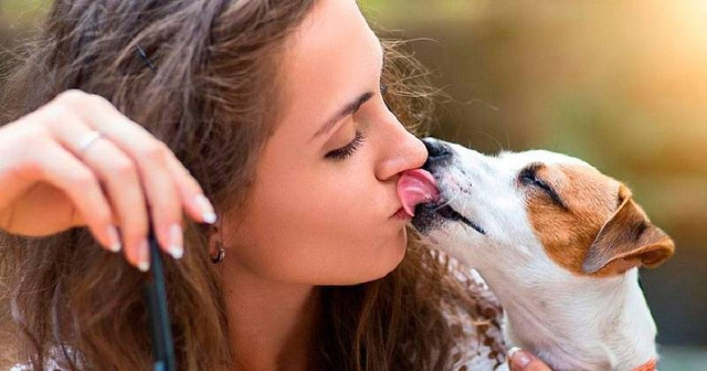 Seu cachorro te enche de lambidas? Saiba quando se preocupar