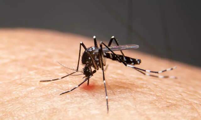 Mudanças climáticas impulsionam avanço de doenças infecciosas no Brasil