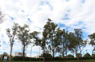 Primeira frente fria da primavera derruba sensação térmica para 8°C em Campo Grande