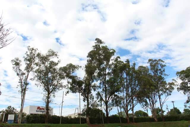 Primeira frente fria da primavera derruba sensação térmica para 8°C em Campo Grande
