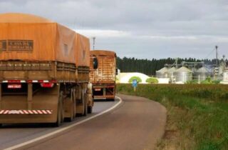 Produtores rurais são condenados em Mato Grosso do Sul por fraude fiscal com grãos