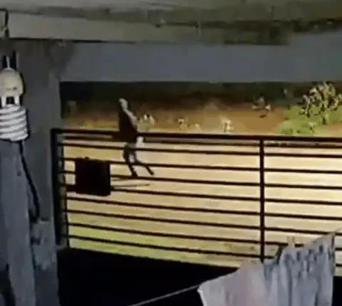 Vídeo registra perseguição e ao menos 6 tiros antes de homem ser morto na rua em Dourados