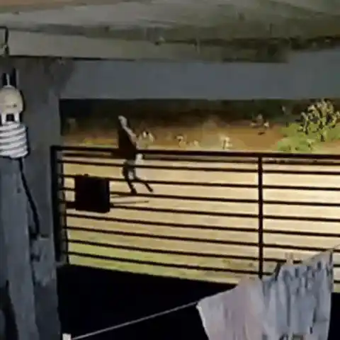 Vídeo registra perseguição e ao menos 6 tiros antes de homem ser morto na rua em Dourados