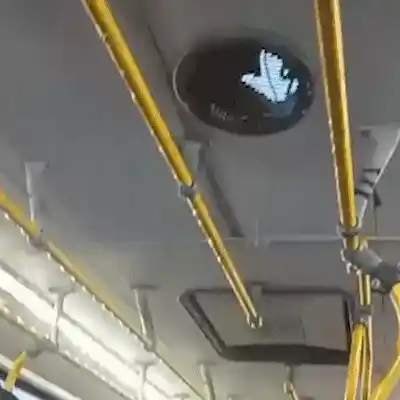 Com goteiras, ônibus quase vira chafariz durante chuva em Campo Grande