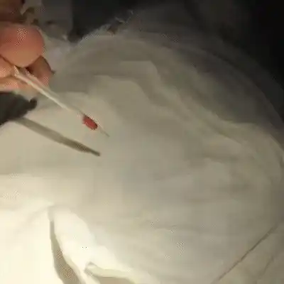 Boliviana é presa em SP com roupas impregnadas de cocaína líquida vindas de MS