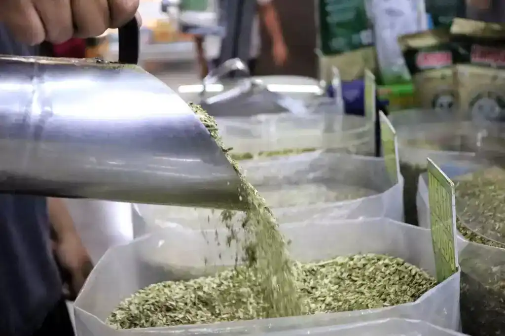 Hábitos cotidianos e consumo de cafeína afetam o sono de 72% dos brasileiros