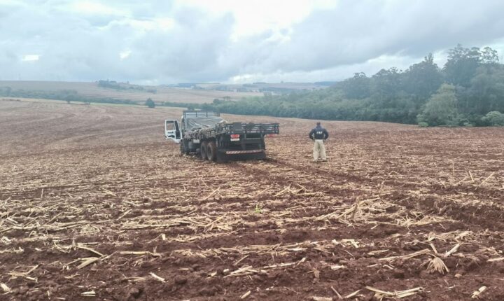 Motorista foge e abandona uma tonelada de maconha no Paraná após intensa perseguição policial