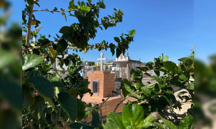 Peças de bronze são furtadas de túmulos no cemitério municipal de Jardim Alegre