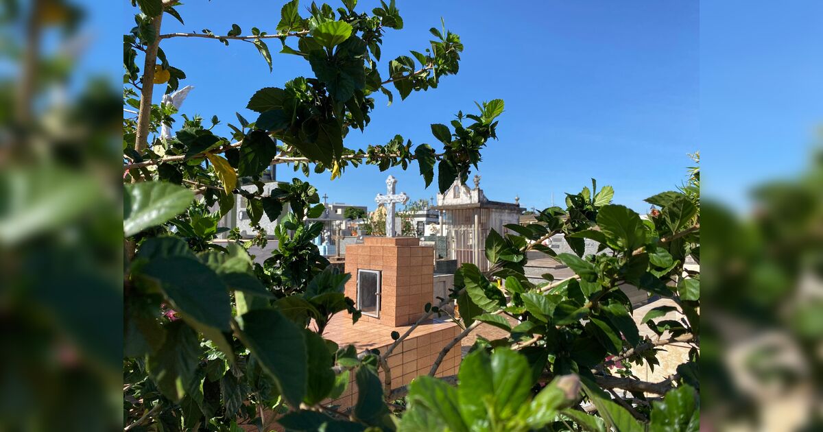 Peças de bronze são furtadas de túmulos no cemitério municipal de Jardim Alegre