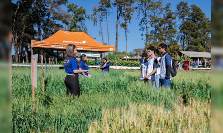 Colégio Agrícola de Apucarana abre inscrições para curso técnico em Agropecuária
