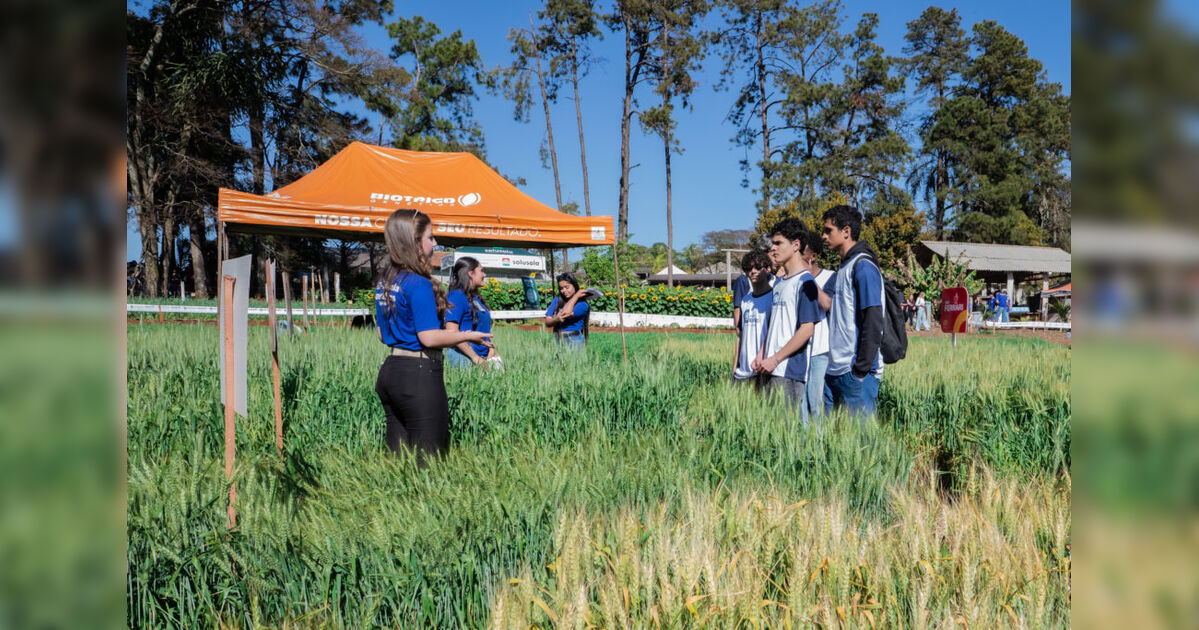 Colégio Agrícola de Apucarana abre inscrições para curso técnico em Agropecuária