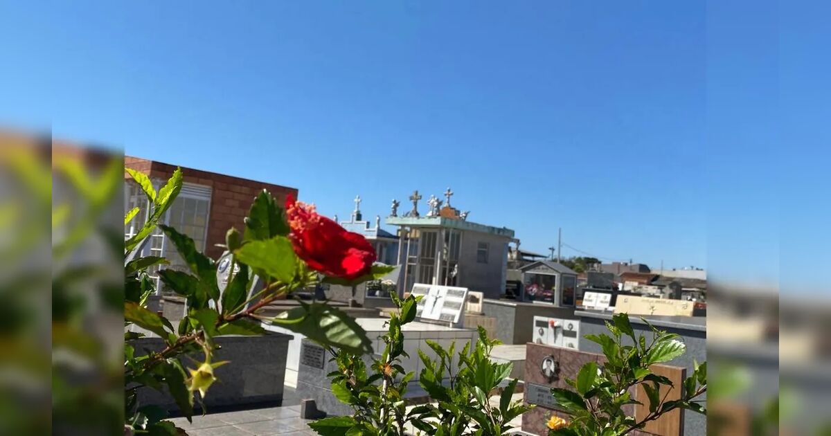 Confira os falecimentos deste sábado (03) em Apucarana e região