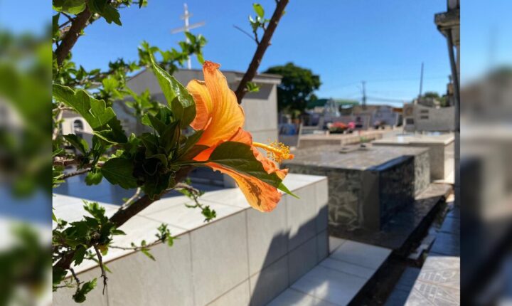 Confira os falecimentos desta segunda-feira (05) em Apucarana