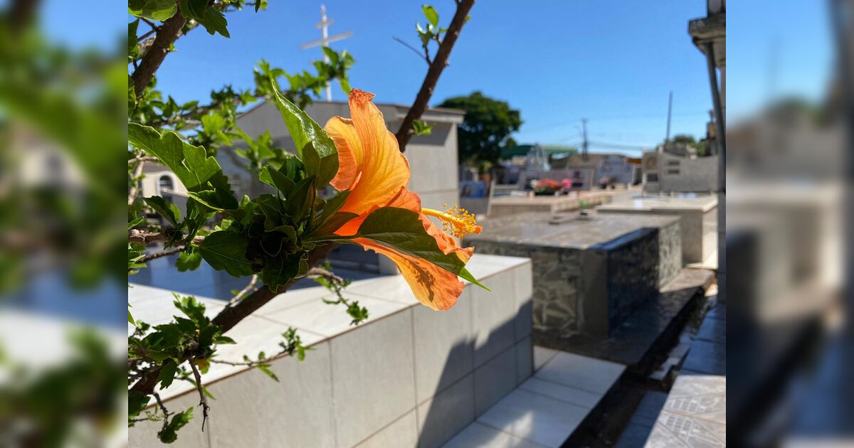 Confira os falecimentos desta segunda-feira (05) em Apucarana