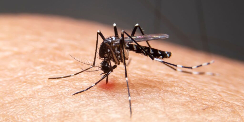 Mudanças climáticas impulsionam avanço de doenças infecciosas e novos patógenos no Brasil