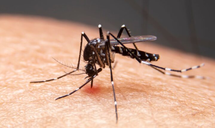 Mudanças climáticas impulsionam avanço de doenças infecciosas e novos patógenos no Brasil