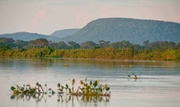 Cerrado perdeu 13,9 milhões de hectares de margens de rios