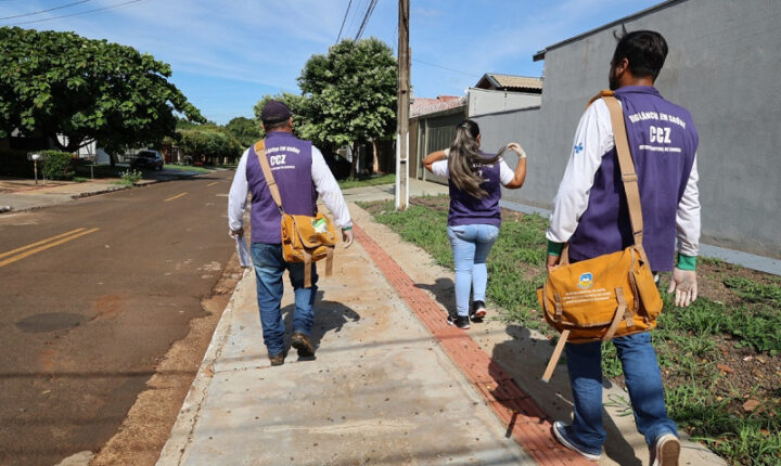 Dourados registra queda nas notificações de Chikungunya, aponta boletim epidemiológico