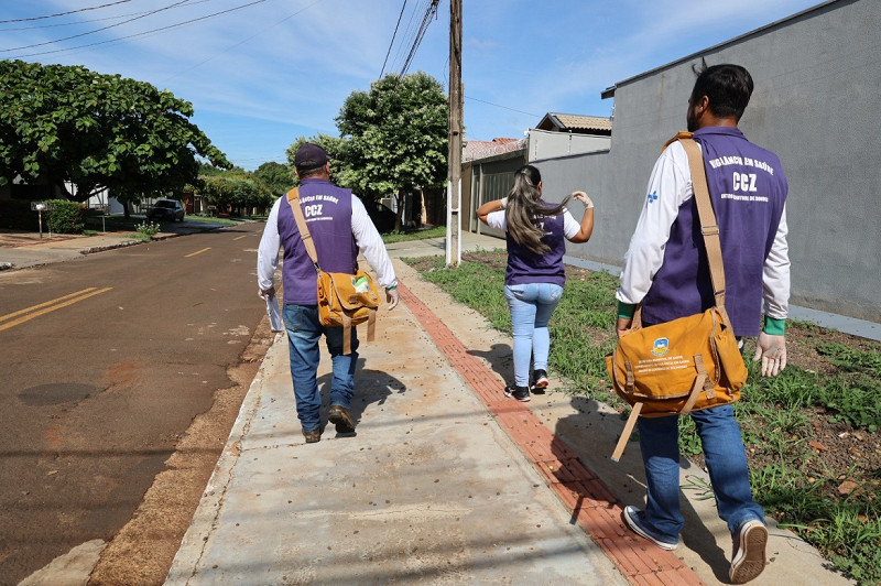 Dourados registra queda nas notificações de Chikungunya, aponta boletim epidemiológico