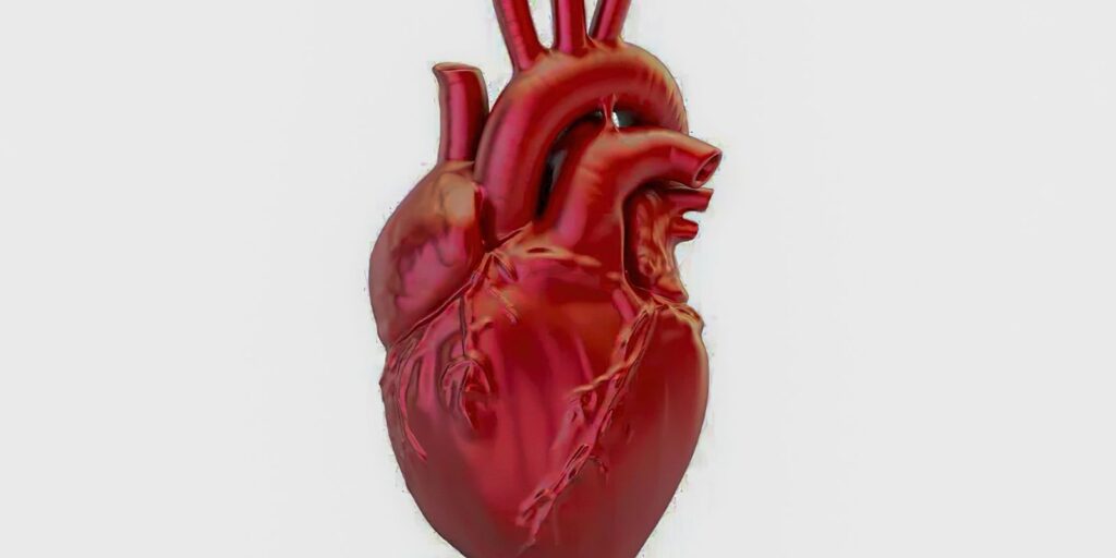 Brasil registra média de uma morte por doença cardiovascular a cada 72 segundos em 2026