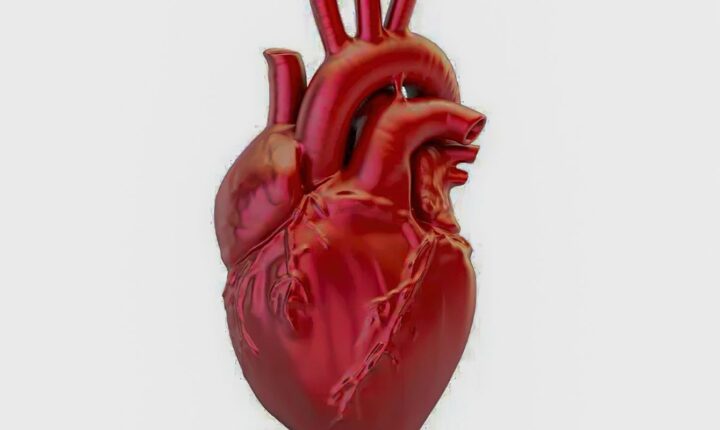 Brasil registra média de uma morte por doença cardiovascular a cada 72 segundos em 2026
