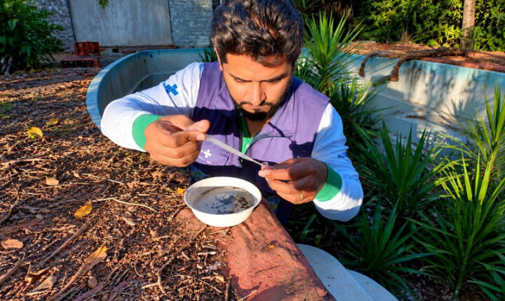Dourados inicia mutirões contra o Aedes aegypti em novembro após aumento de notificações