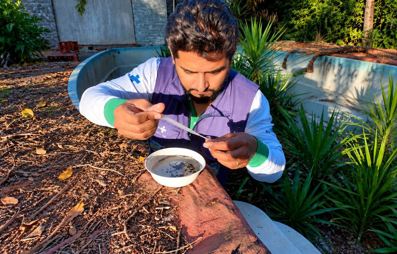 Dourados inicia mutirões contra o Aedes aegypti em novembro após aumento de notificações