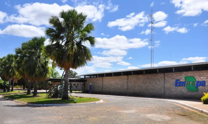 Embrapa Florestas é escolhida como o primeiro Centro de Referência da FAO no mundo