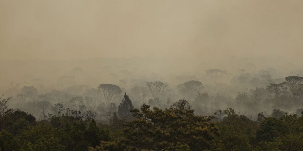 Força Nacional do SUS instala base em Manaus para atuar diante de incêndios florestais
