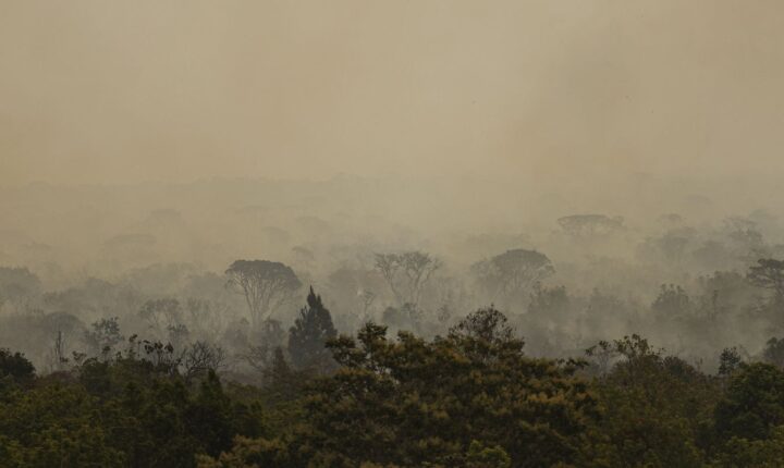 Força Nacional do SUS instala base em Manaus para atuar diante de incêndios florestais