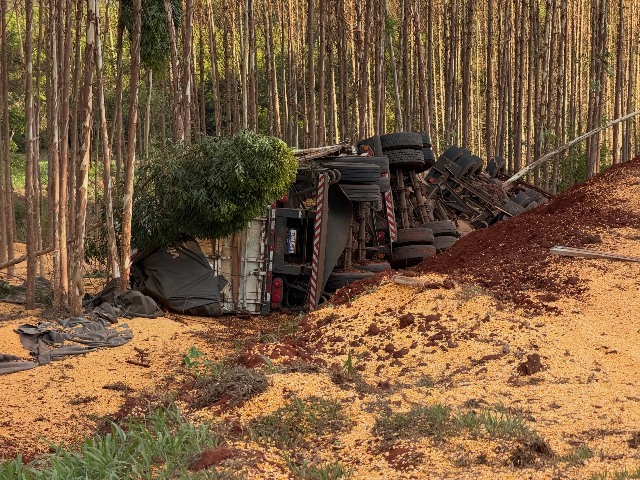 Motorista morre preso às ferragens após carreta tombar na MS-388