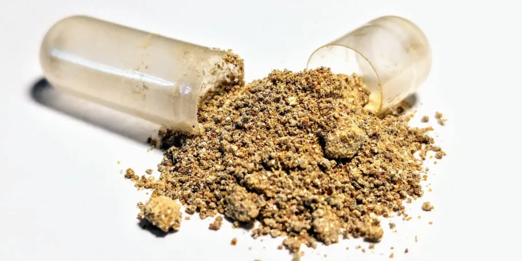 Anvisa emite alerta e reforça proibição de suplemento ashwagandha no Brasil