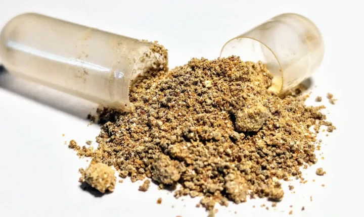 Anvisa emite alerta e reforça proibição de suplemento ashwagandha no Brasil