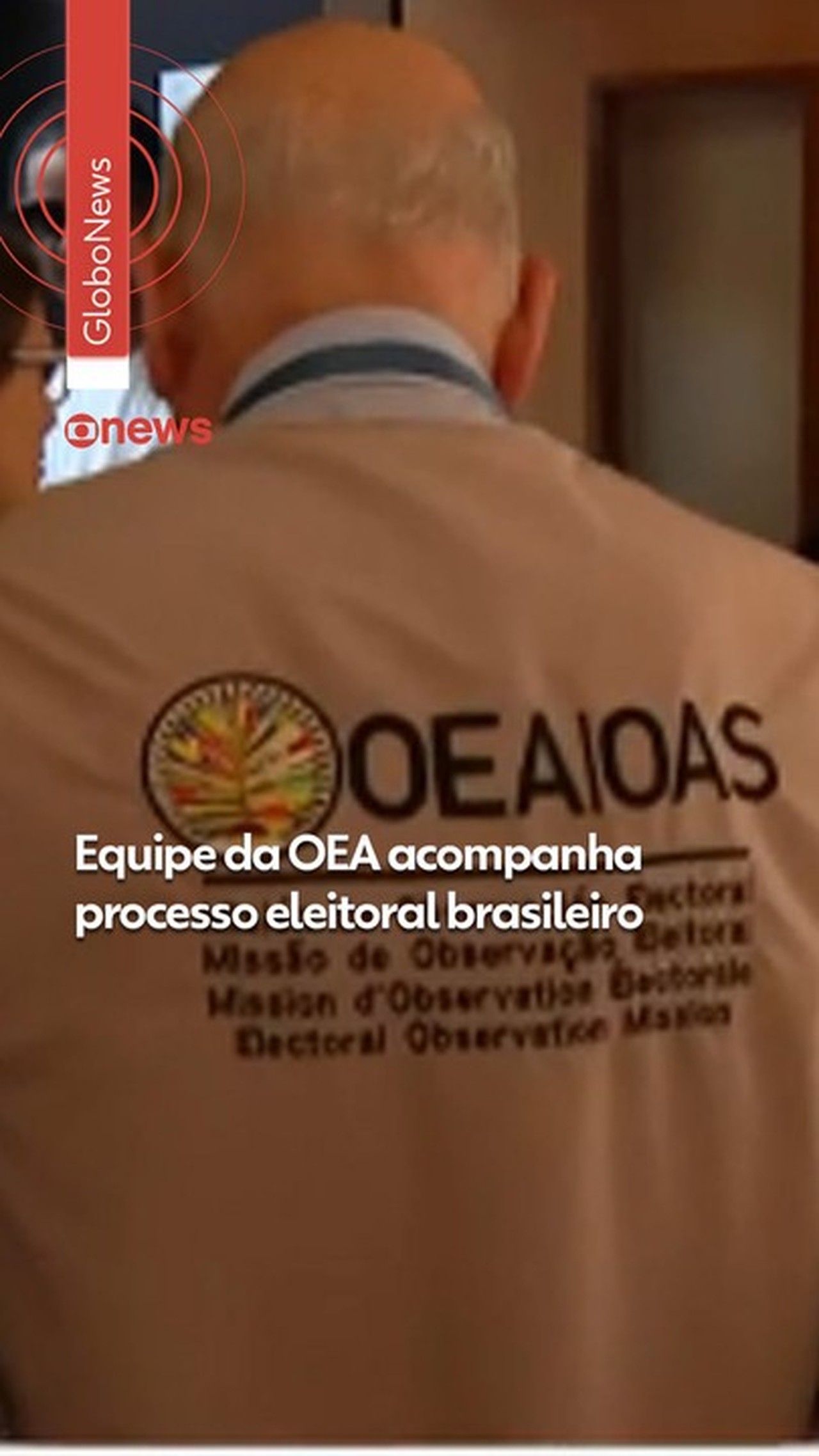 Sem detalhar, OEA diz que houve ‘ativismo político internacional’ na eleição; TSE descarta interferência
