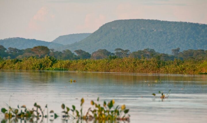Cerrado brasileiro sofreu redução de 13,9 milhões de hectares de vegetação em margens de rios