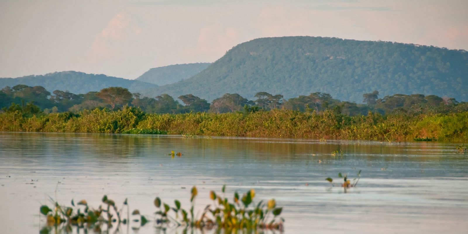 Cerrado brasileiro sofreu redução de 13,9 milhões de hectares de vegetação em margens de rios