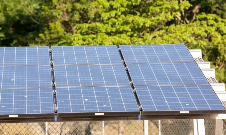Quinto leilão do Eco Invest atrai quase R$ 50 bilhões para projetos de transição ecológica