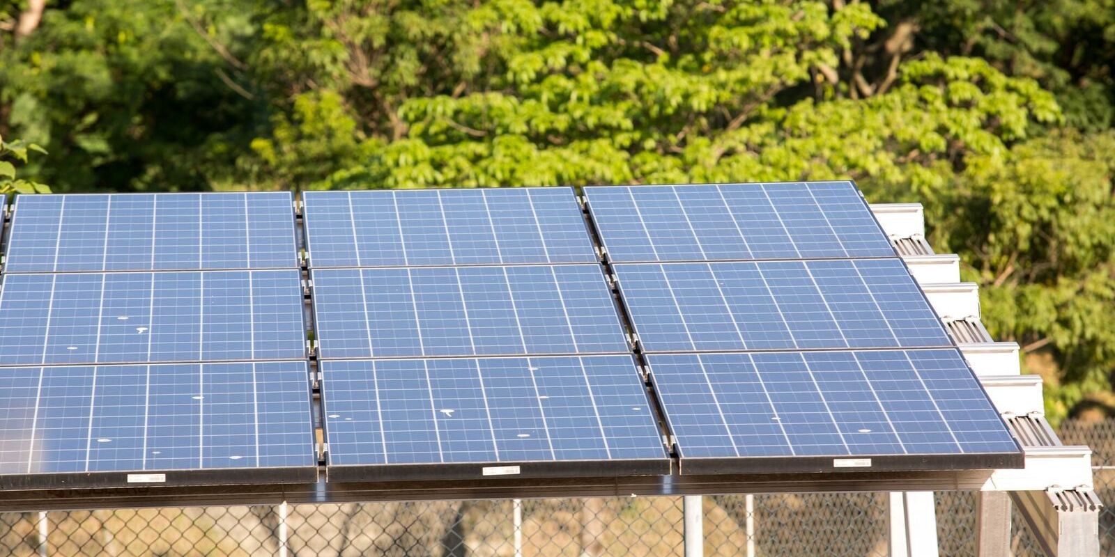 Quinto leilão do Eco Invest atrai quase R$ 50 bilhões para projetos de transição ecológica