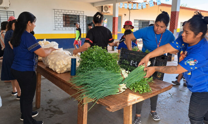 Dourados executa primeiro PAA Indígena Municipal do Brasil e injeta mais de R$ 60 mil na agricultura familiar