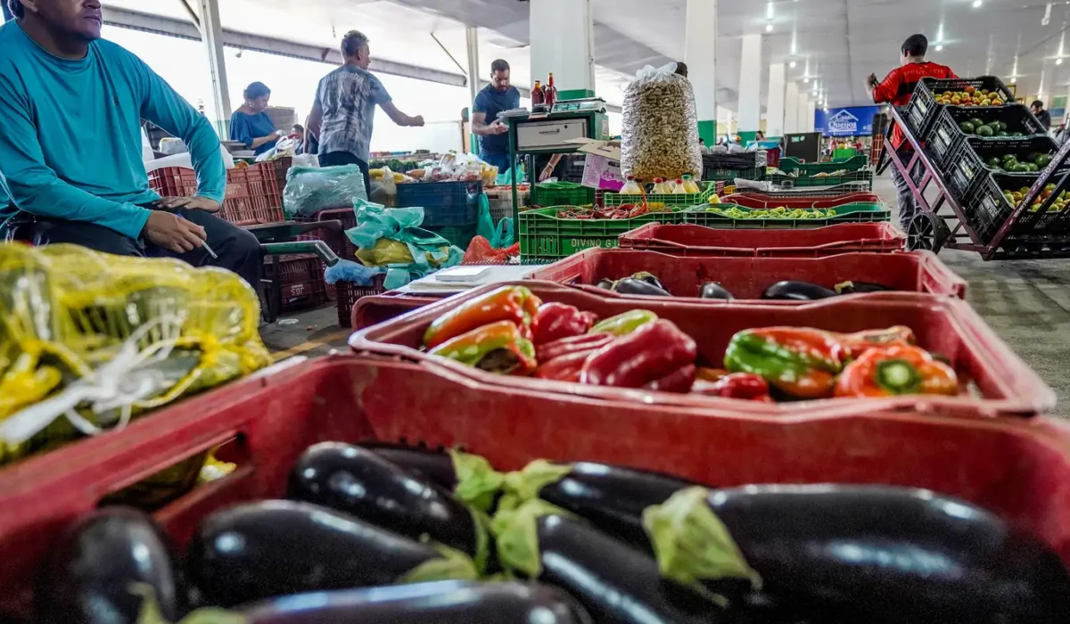 Campanha nacional busca engajamento da sociedade para reduzir desperdício de alimentos