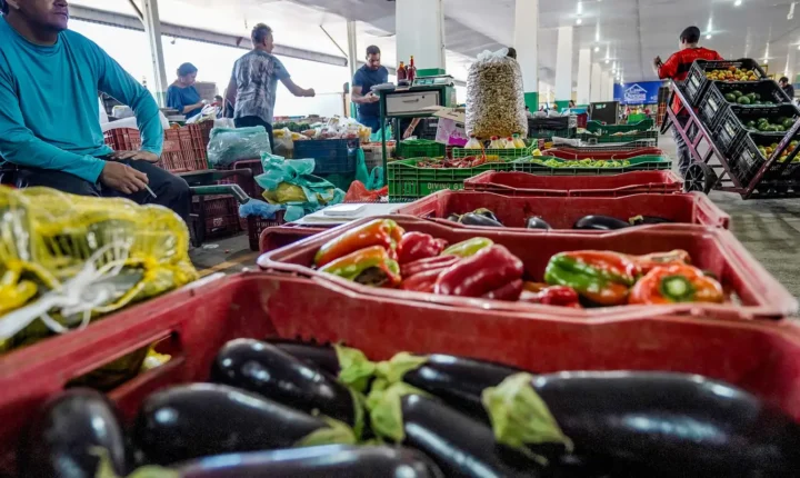 Campanha nacional busca engajamento da sociedade para reduzir desperdício de alimentos