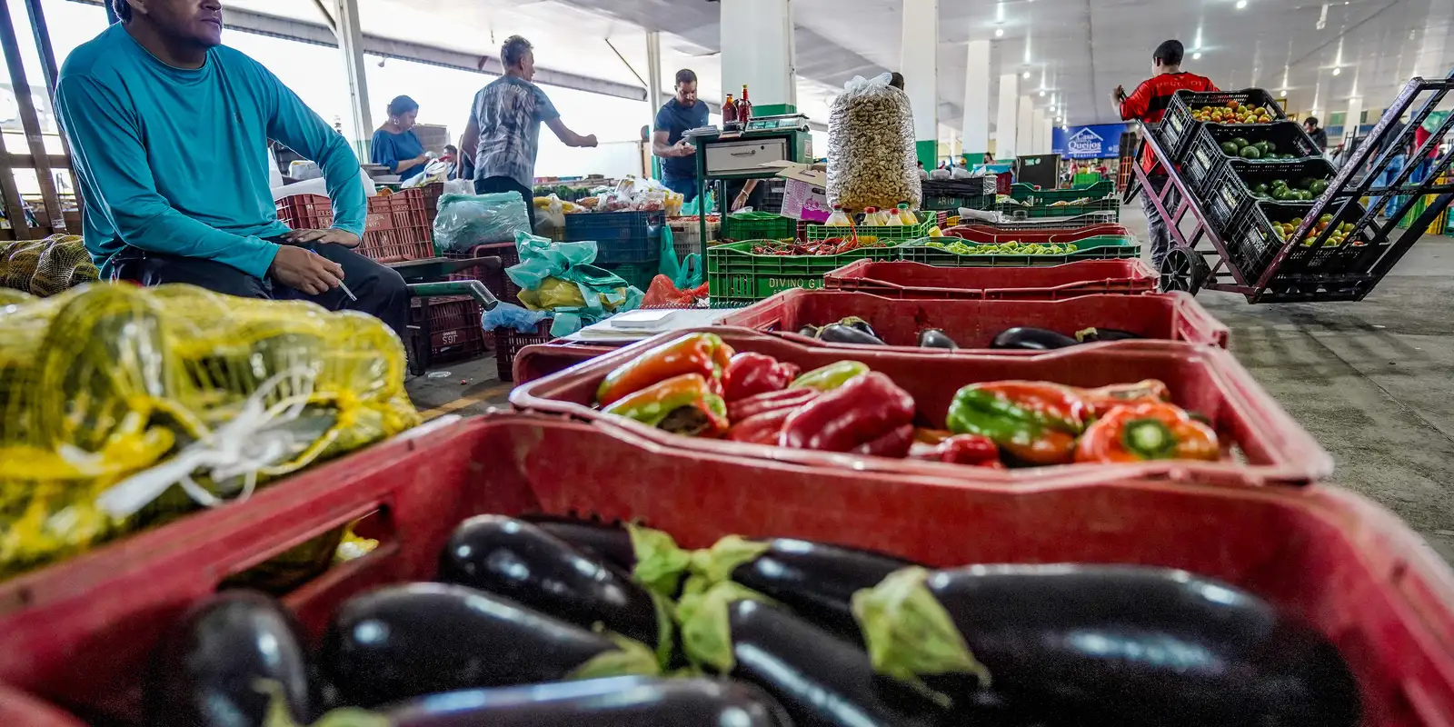 Campanha nacional busca engajamento da sociedade para reduzir desperdício de alimentos