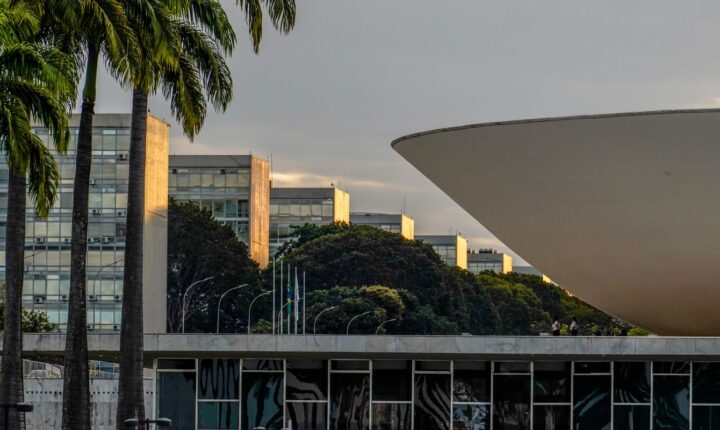 Nikolas Ferreira e Lucas Pavanato lideram votação para a Câmara dos Deputados