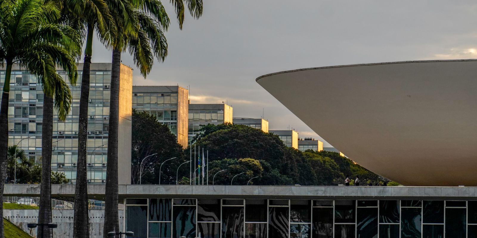 Nikolas Ferreira e Lucas Pavanato lideram votação para a Câmara dos Deputados